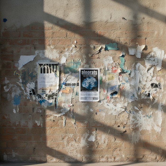 Увеличенное фото той же стены, детали кирпичной кладки и текстуры видны чётко, яркие естественные цвета, высокая детализация, 4K, фотореализм